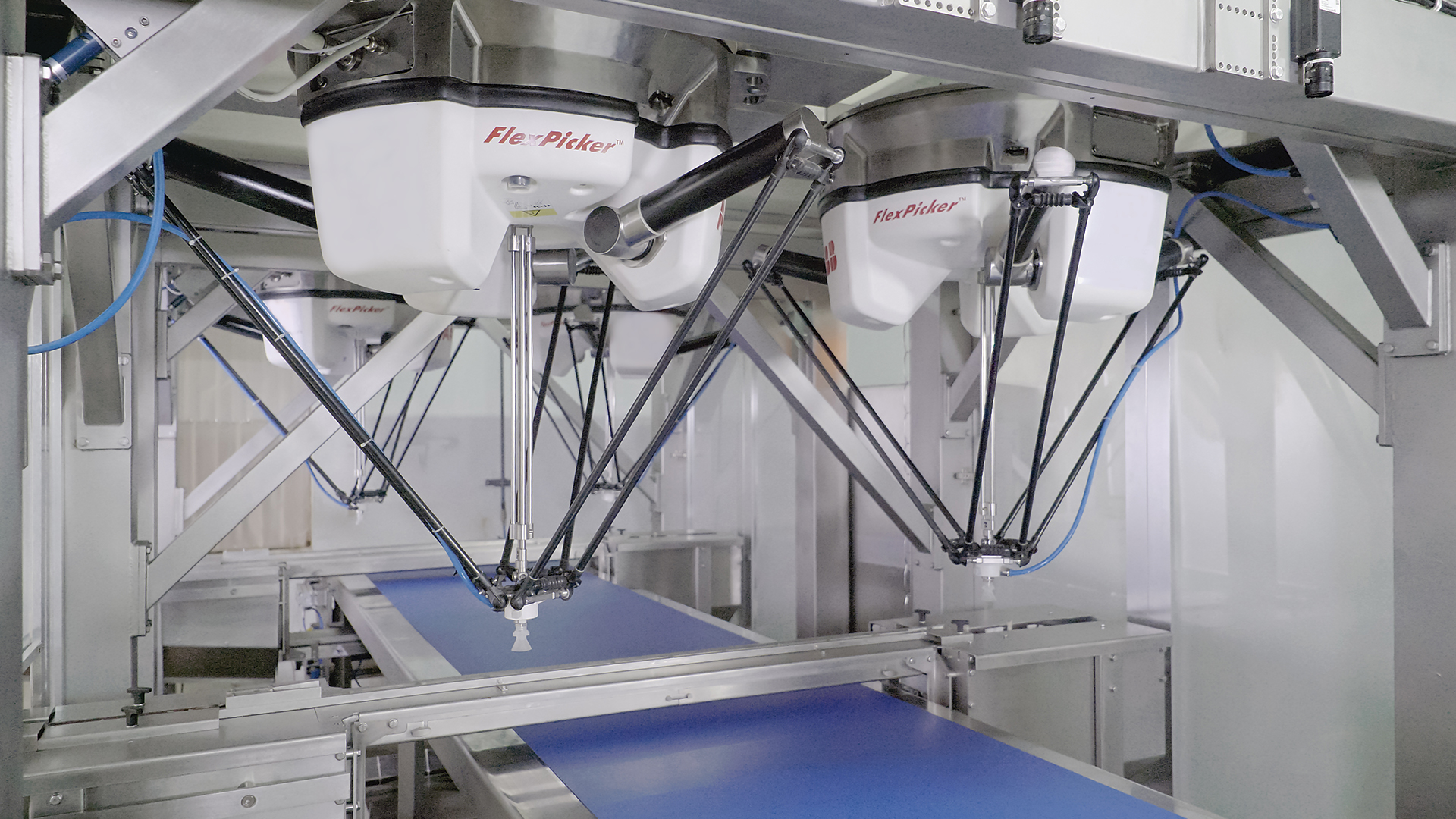 Cybernetik Website Element