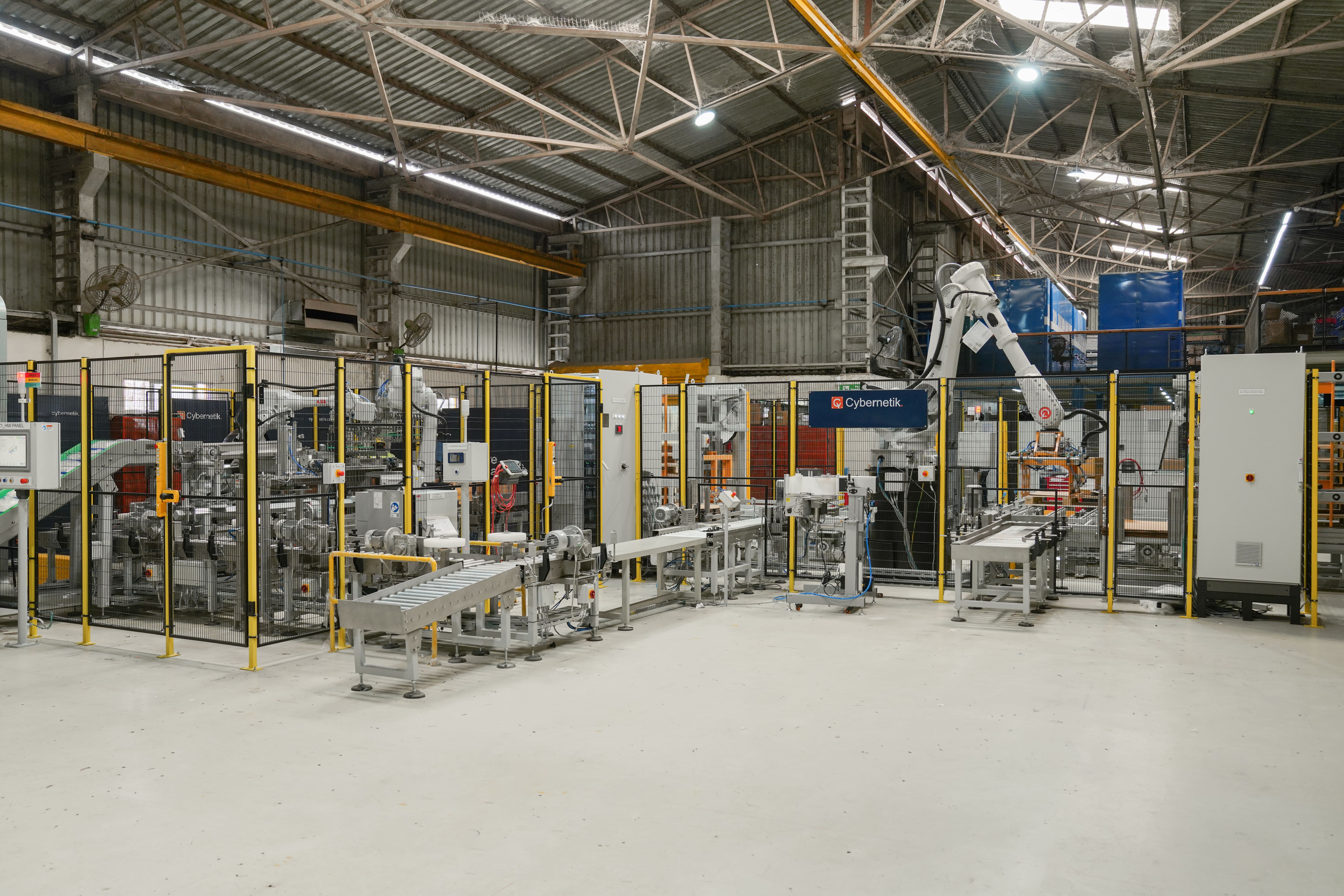 Case Packer and Case Palletizer for Pouches