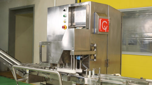 Conveyorized Synchronous Cutter - Featured Image
