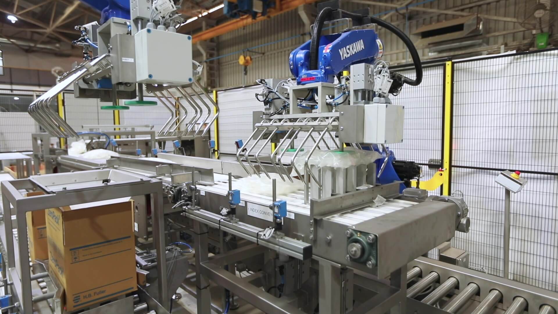 Pouch Conveying, Settling & Case Packing Automation
